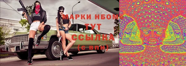 a pvp Новодвинск