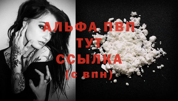 спиды Новозыбков
