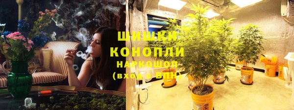 спиды Новозыбков