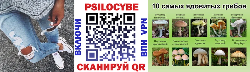 Галлюциногенные грибы Psilocybine cubensis  купить наркоту  Алдан 