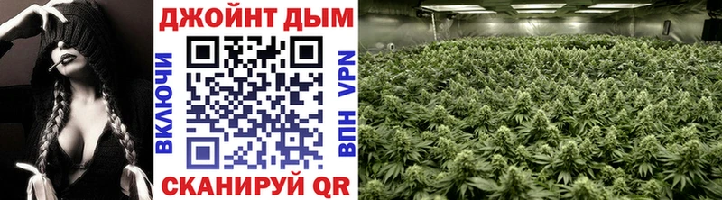 мориарти официальный сайт  Алдан  Бошки Шишки Amnesia 